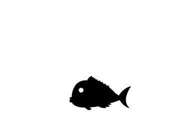 CRAZY collection(クレイジーコレクション)